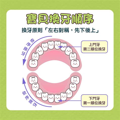 6歲出大牙|【換牙順序】小朋友幾歲換牙正常？一文睇換牙期年齡。